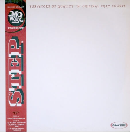 Step record sleeve
